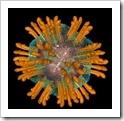 HCV-virus