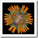 HCV-virus