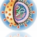 hcv-hepatitis-c