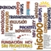 Fundacion hcv sin fronteras