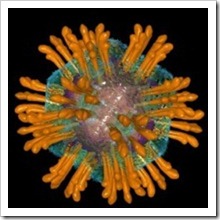 HCV-virus-vhc