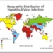 distribucion geografica de la hepatitis a hav