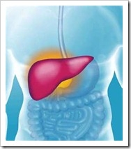 hepatitisc
