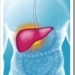 hepatitisc