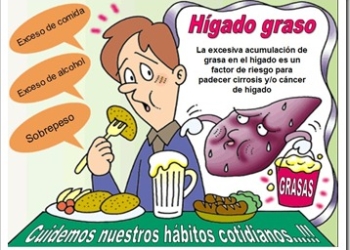 higado-graso-dieta