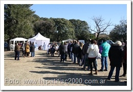 hepatitis-vacuna-deteccion-hcv-sin-fronteras