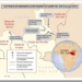 mapa-sur-sudan-refugiados-5-julio2012