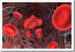 anemia-ferropenica-carencia-hierro