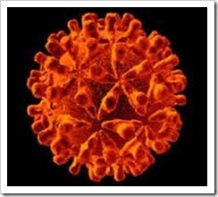hepc_clip