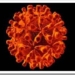 hepc_clip