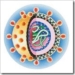 hcv-hepatitis-c