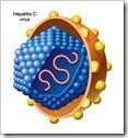 hepatitis C
