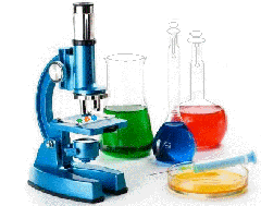 microscopio