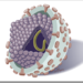 Hep_C_virus