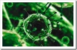 virus