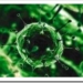 virus
