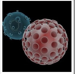sida_hepatitis