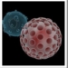sida_hepatitis