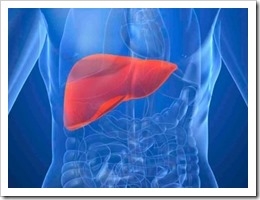 higado-hepatitis-b-peru