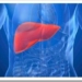higado-hepatitis-b-peru