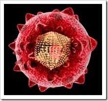 hepatitus