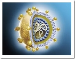 vhc-hcv