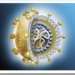 vhc-hcv