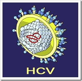 hcv_virus
