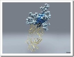 hepatitis-cchristinacorbaciltsri