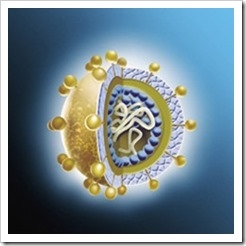 hepatitis_c_virus