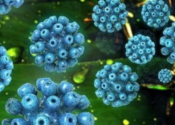 VHC-coinfeccion