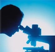 investigacion