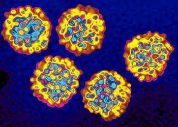 heptatsis