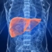 higado-hepatitis