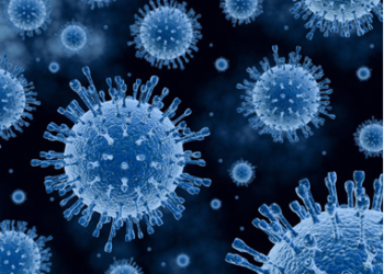 virus-c-forma