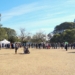 2014-hepatitis-dia-mundial