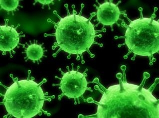 virus-hepatitis