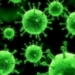 virus-hepatitis