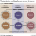54419800753