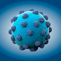 Living-With-the-Hepatitis-C-Virus