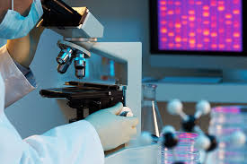 investigacion