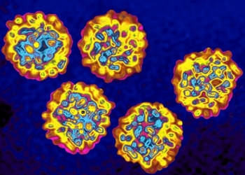 heptatsis