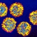 heptatsis