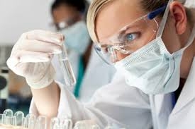 investigacion