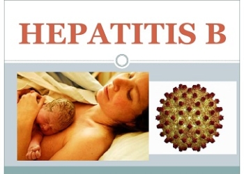 hepatitis-b-gestacin-1-728