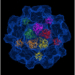 virus-hepatitis-e