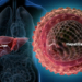 webmd_rf_photo_of_liver_and_hepatitis_virus