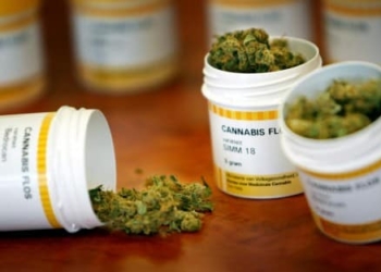hepatitis-vih-hiv-cannabis-marihuana-maria-porro