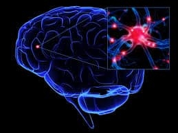 cerebro parkinson