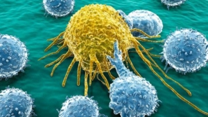 Celula-de-cancer-1